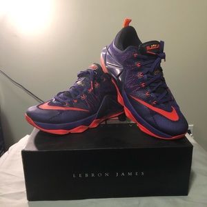 LeBron XII Low
